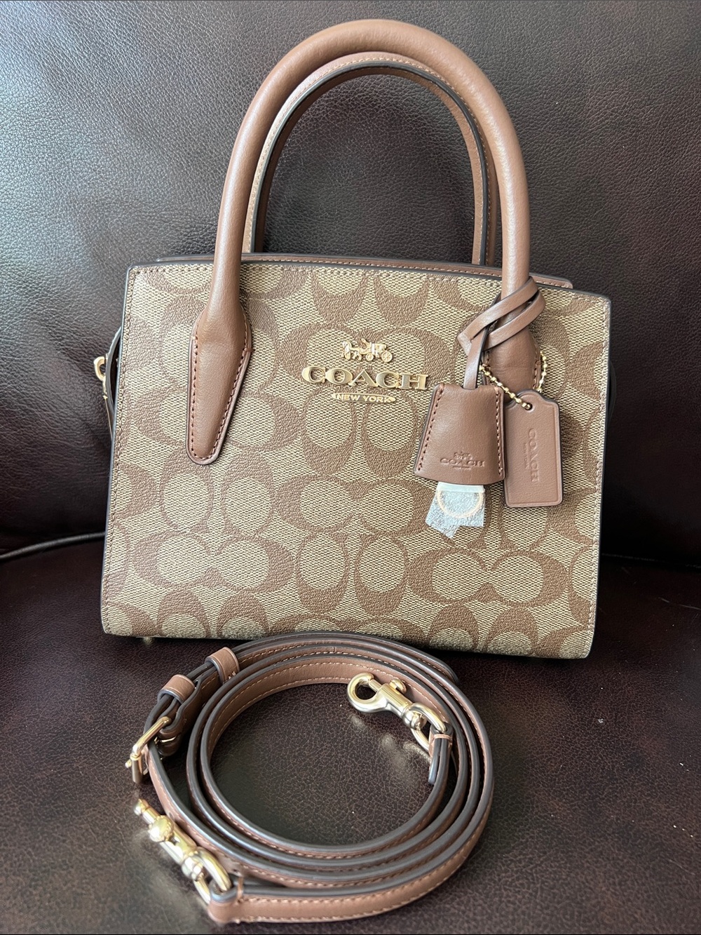 Coach Andrea Carryall Crossbody Bag Small Leather Satchel Purse EUC